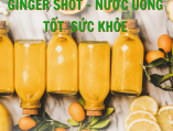 Ginger Shot Công Thức Nước Uống Tốt Cho Sức Khỏe Công Dụng Và Cách Làm Đơn Giản Tại Nhà