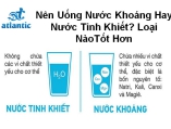 Nên Uống Nước Khoáng Hay Nước Tinh Khiết? Loại NàoTốt Hơn