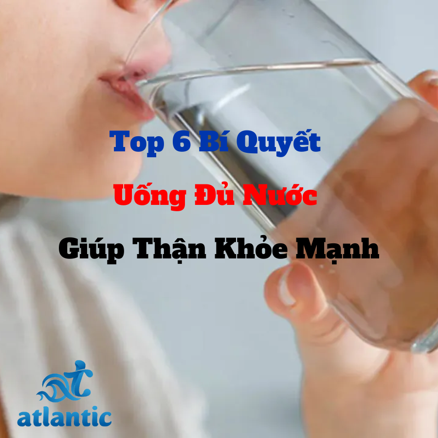 ATLANTIC là nhà phân phối đổi nước, giao nước uống đóng bình Vihawa chính hãng khu vực Hồ Chí Minh.